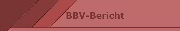 BBV-Bericht